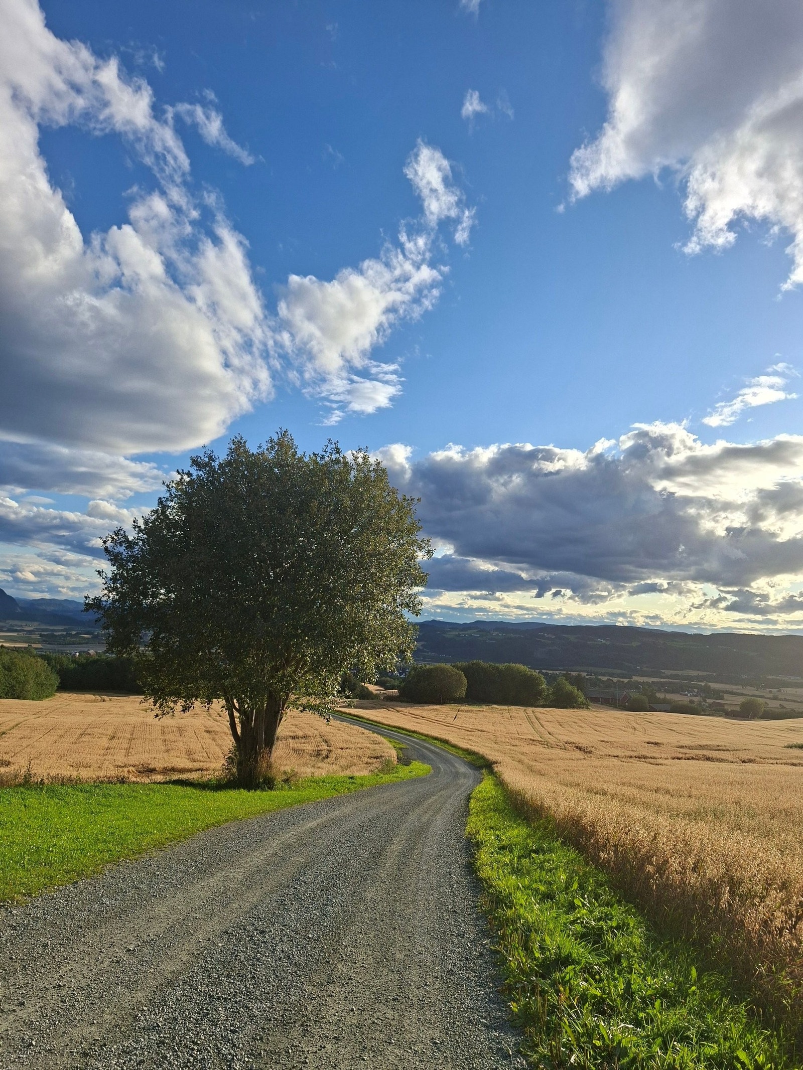 Mange flotte turmuligheter i nærområdet. Galleribilde