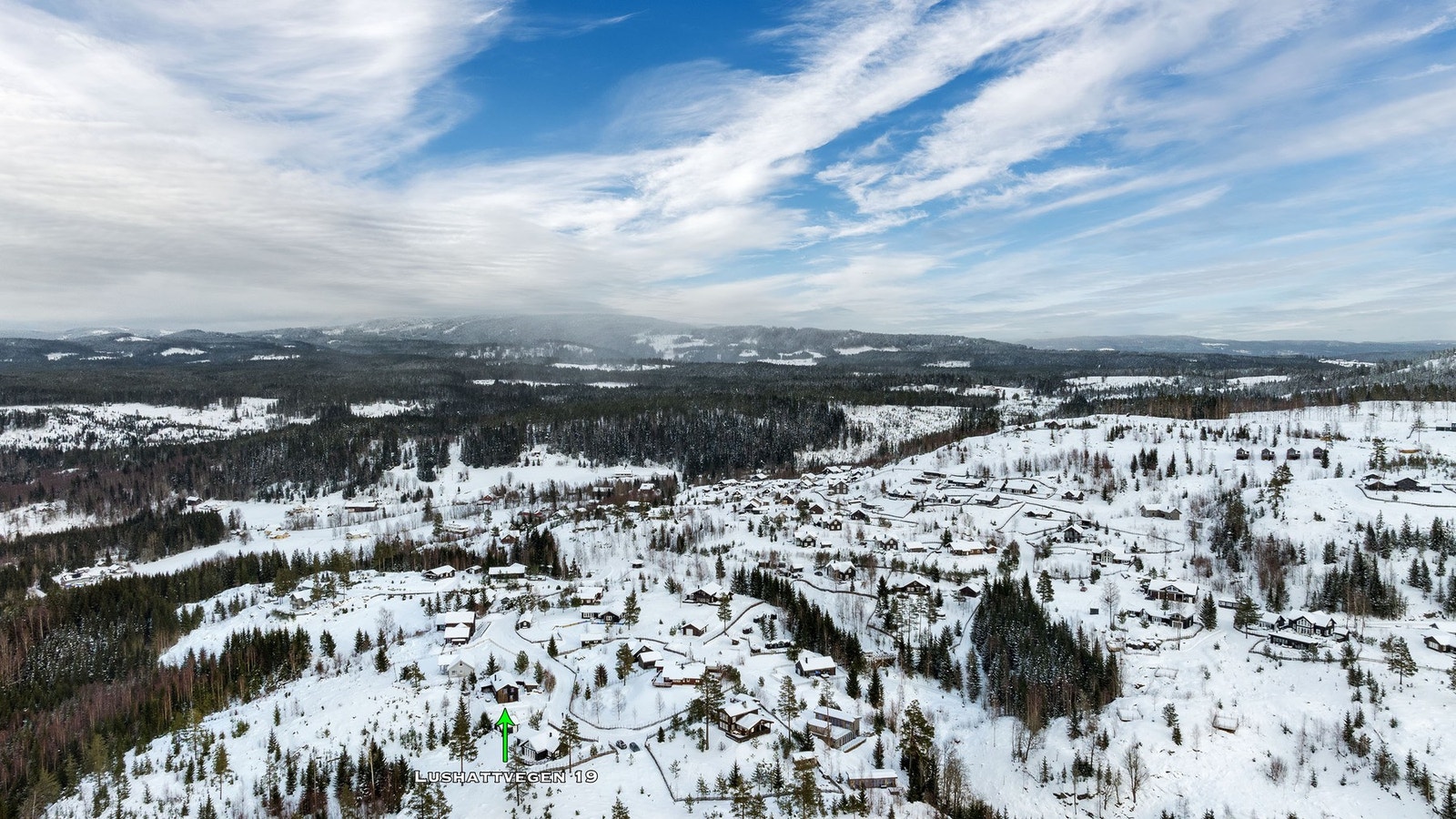 Dronebilde over nærområdet. Galleribilde