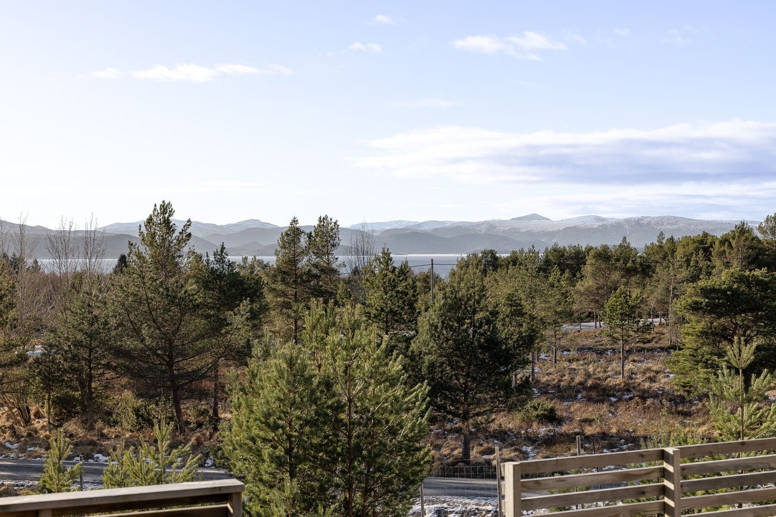 Velkommen til visning! Galleribilde