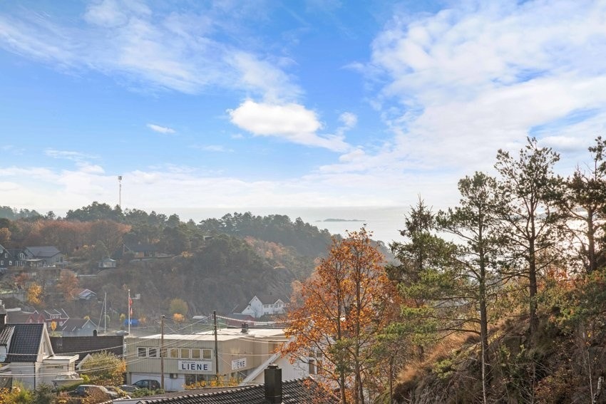 Utsikt. Galleribilde