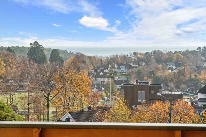 Utsikt. Galleribilde