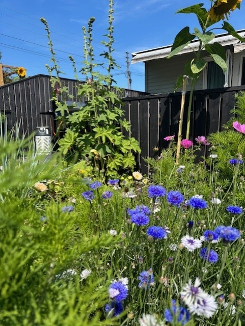 Frodig og pent opparbeidet hage. Galleribilde