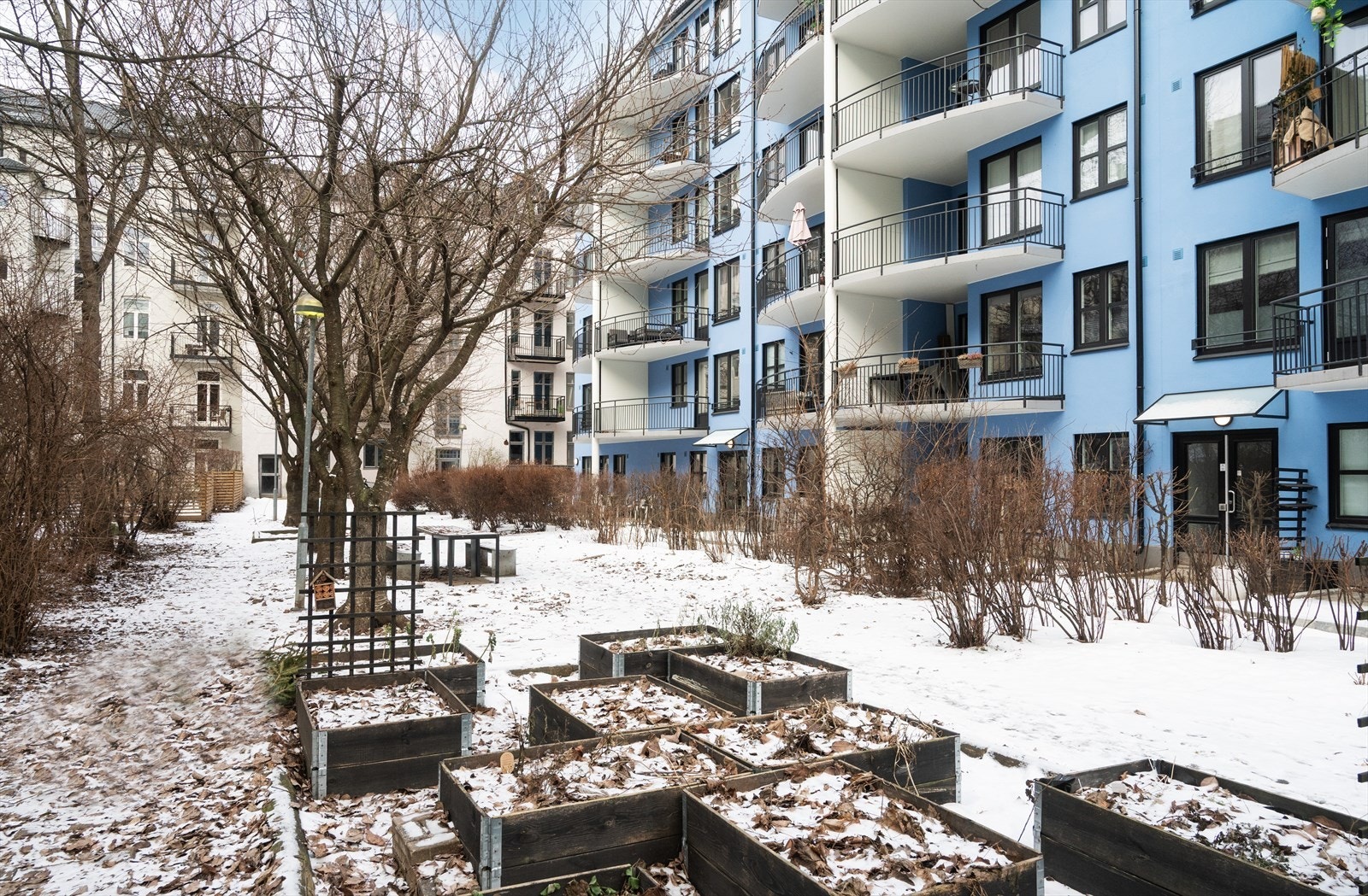 Sameiet har en hyggelig, felles bakgård med beplantning og sittegrupper. Galleribilde