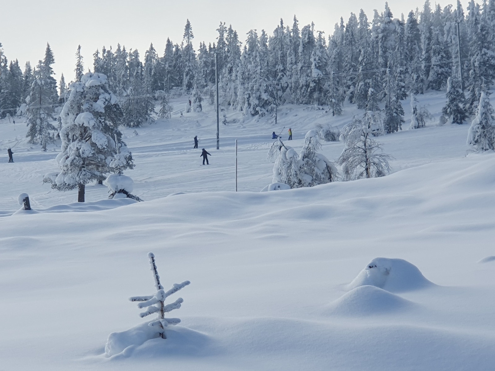 Utsikt mot alpinbakken Galleribilde