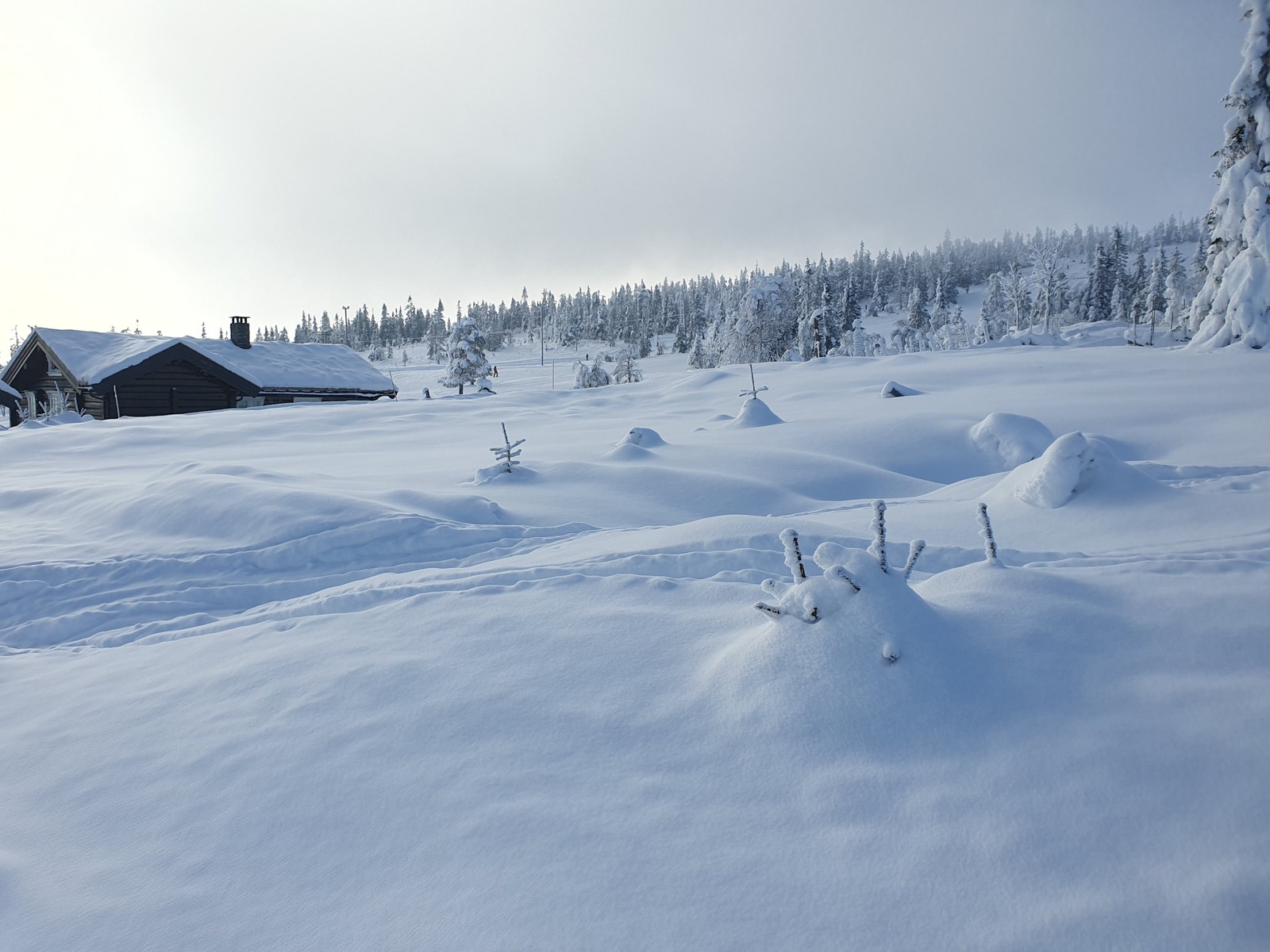 Utsikt fra tomta retning alpinbakken Galleribilde
