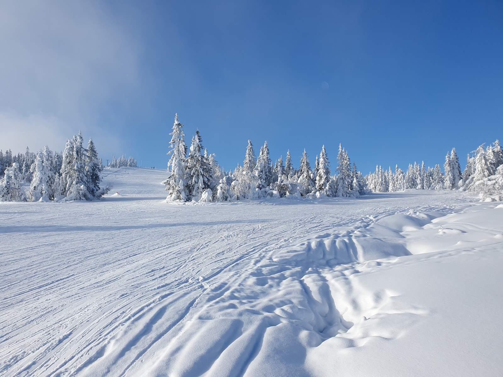 Alpin bakken, bilde tatt rett bortenfor tomta Galleribilde