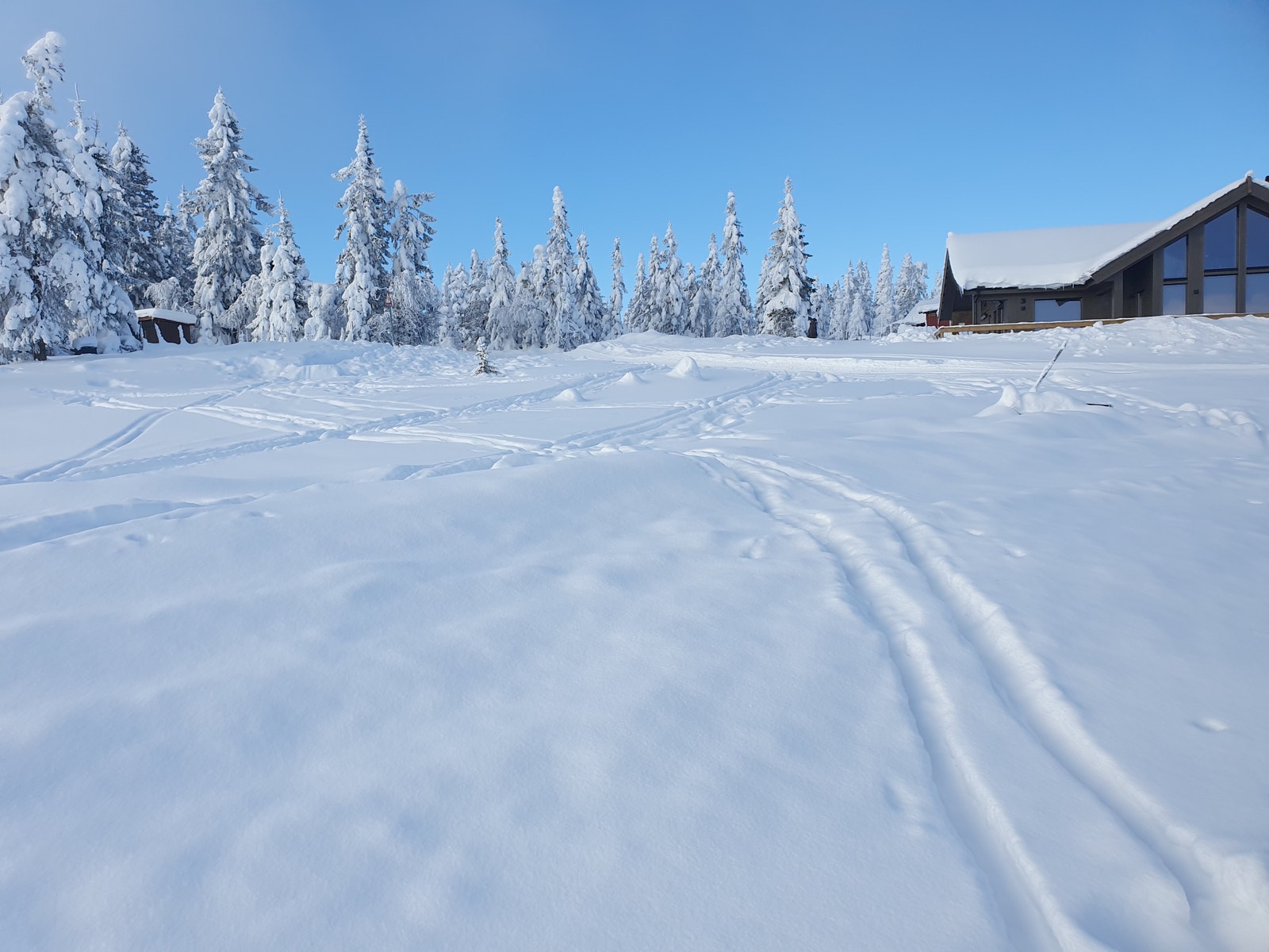 Bilde fra nedsiden av tomta Galleribilde
