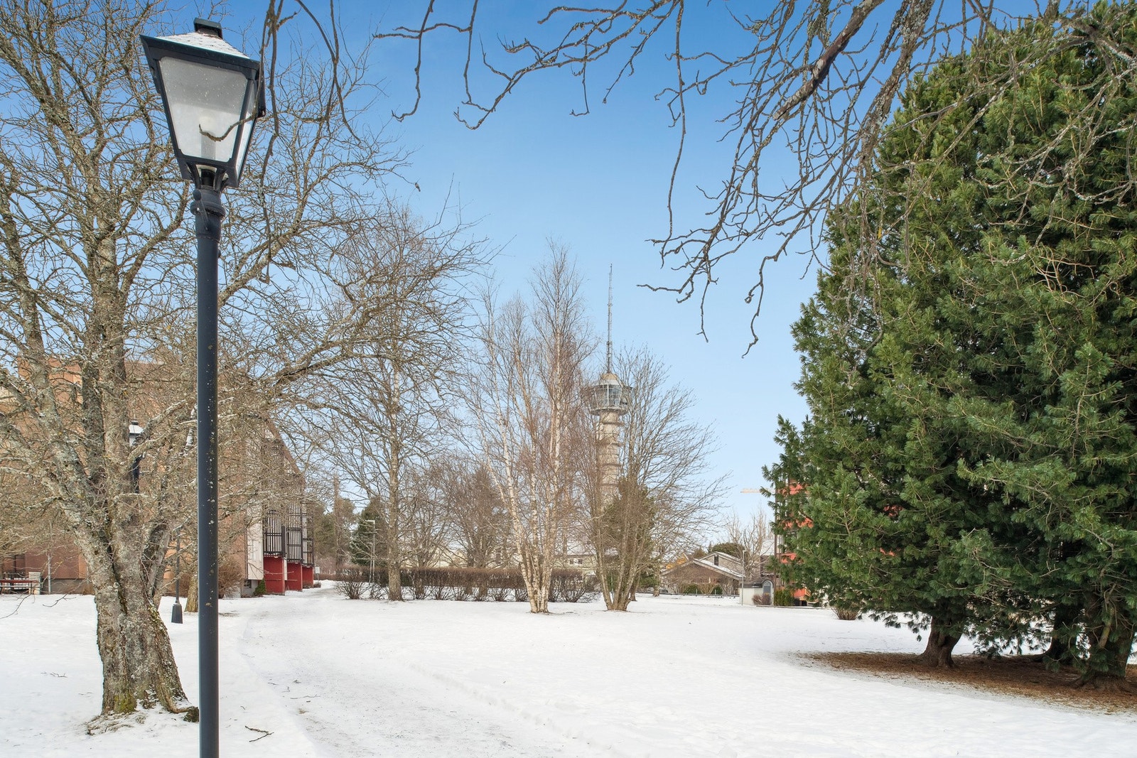 Fra leiligheten har du en behagelig spasertur til ikoniske Tyholttårnet. Galleribilde