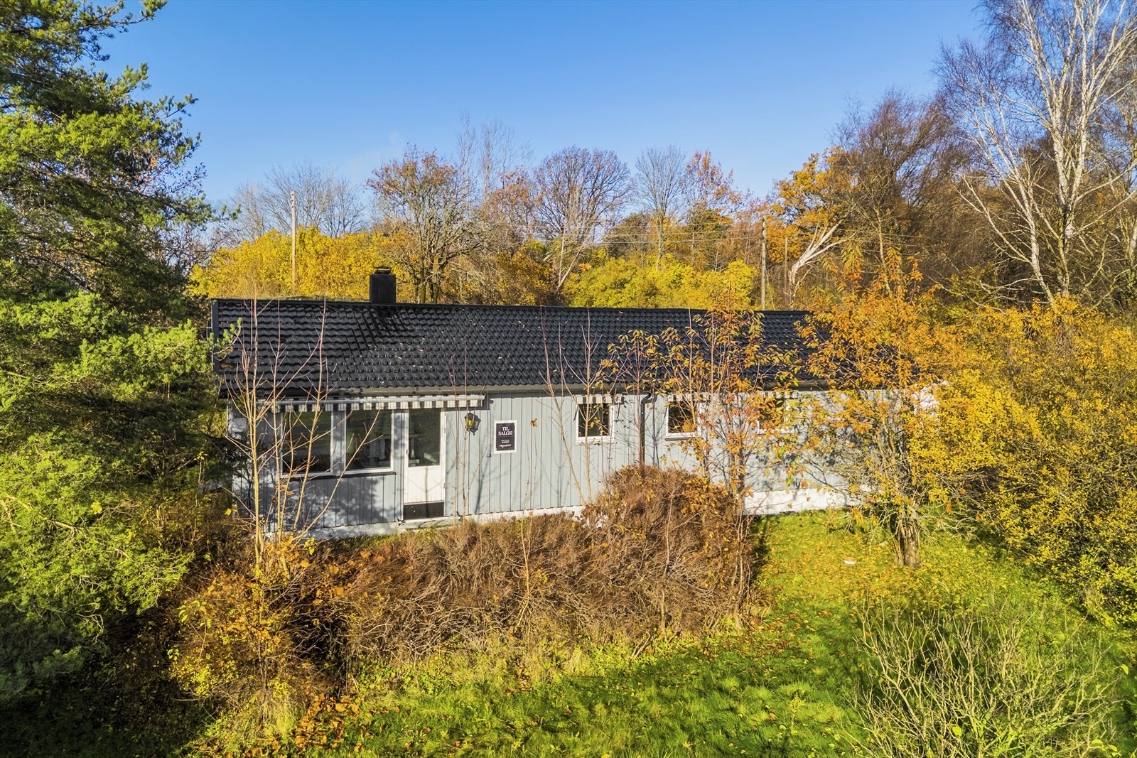 Fint med gressplen, trær og hekk Galleribilde