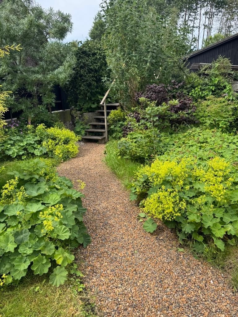 Gjennomtenkt og lettstelt hage, som blomstrer året rundt Galleribilde