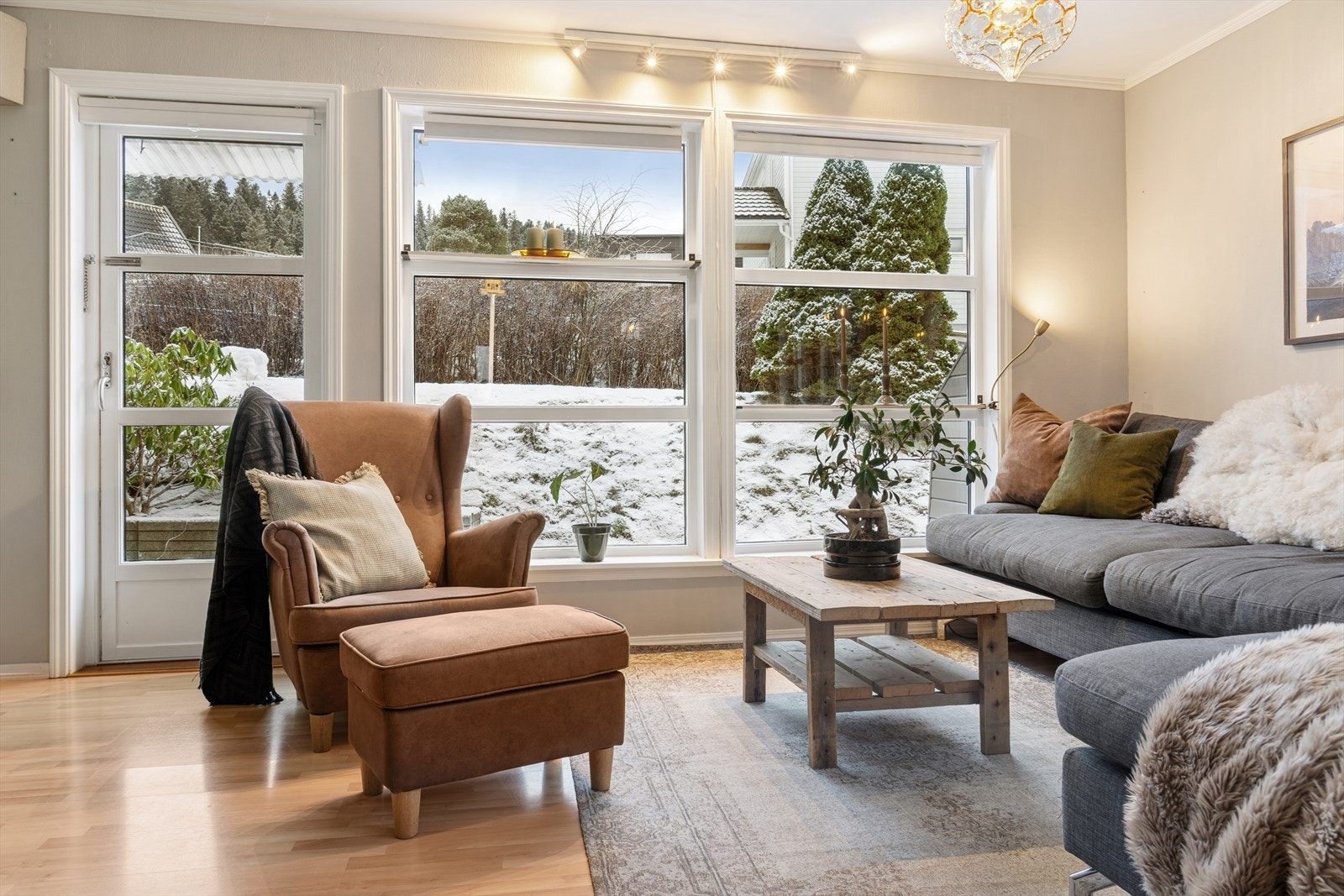 Lun og sosial sone med rikelig naturlig lys gjennom store vinduer. Galleribilde