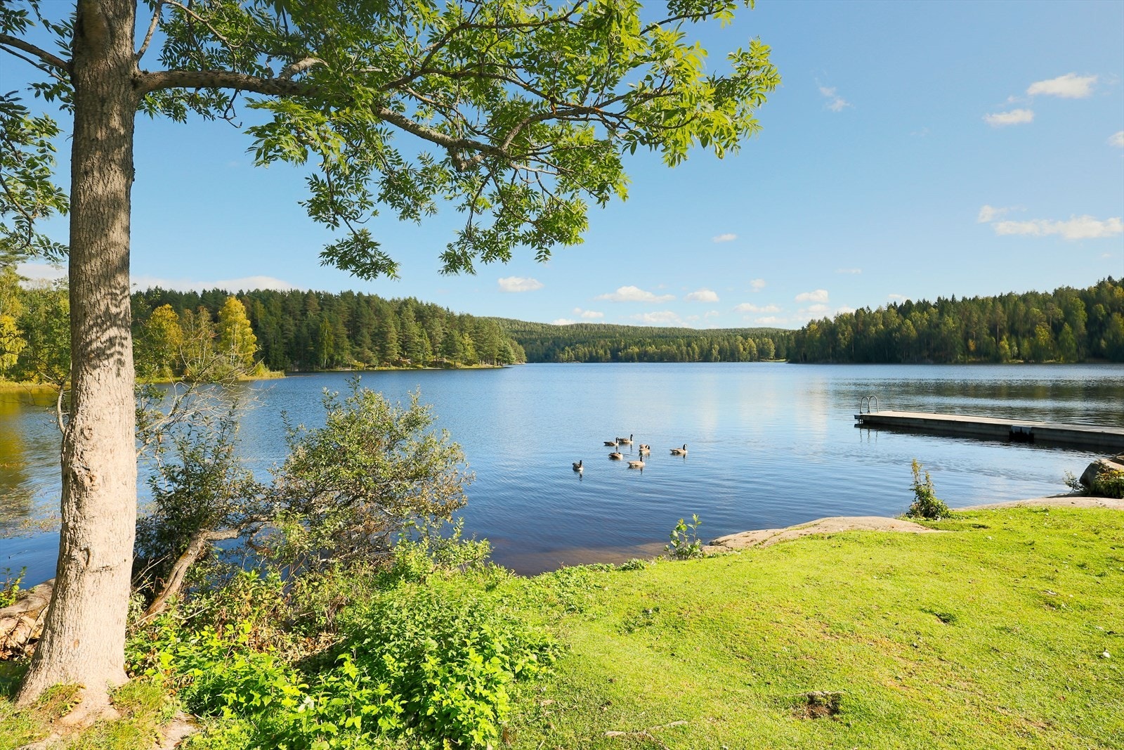 Med umiddelbar nærhet til Østmarka har du et eldorado av turmuligheter rett utenfor døren, samt badeplasser like i nærheten Galleribilde