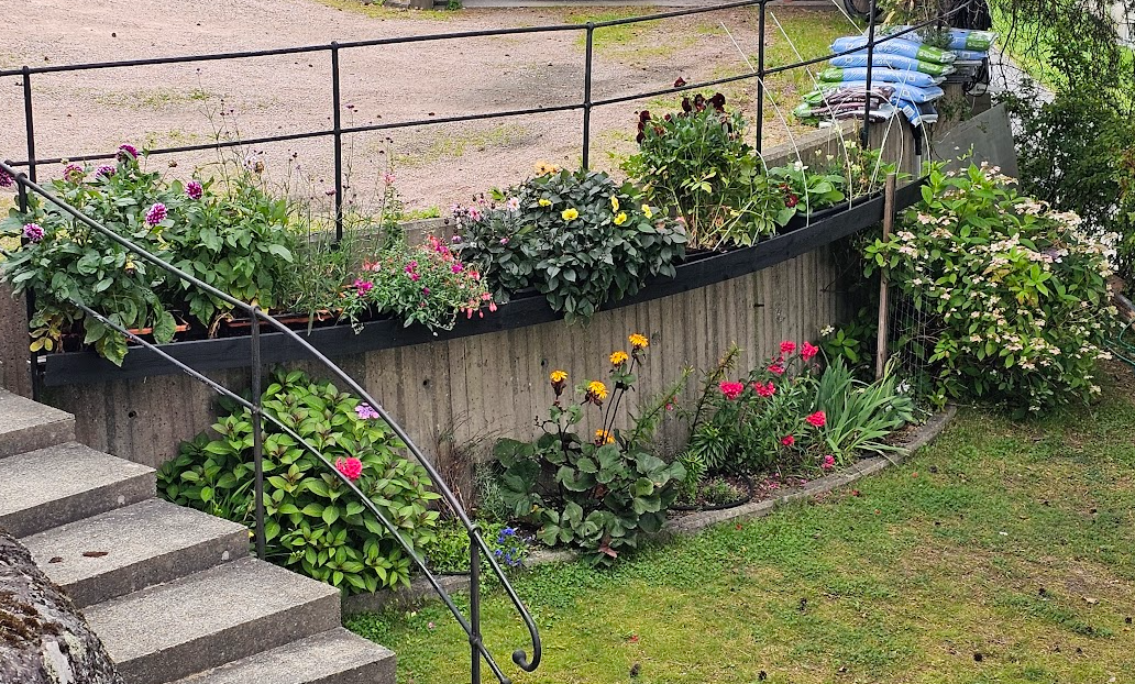 Selgers private bilder- uteplass parken Galleribilde