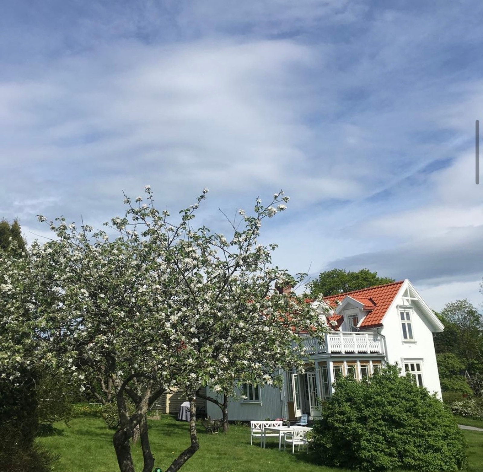 Selgers private bilde Galleribilde