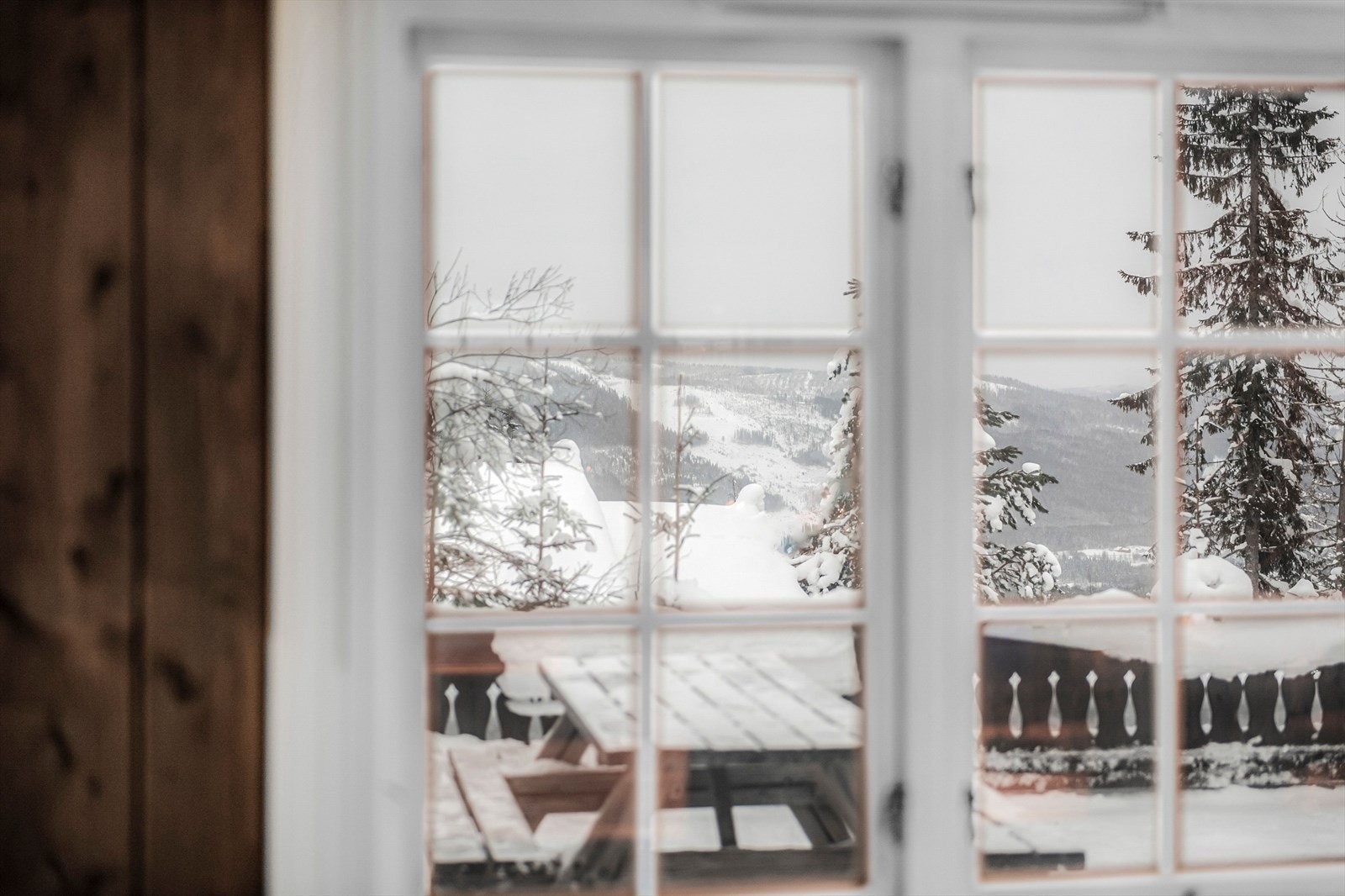 _DSC4800.jpg Galleribilde