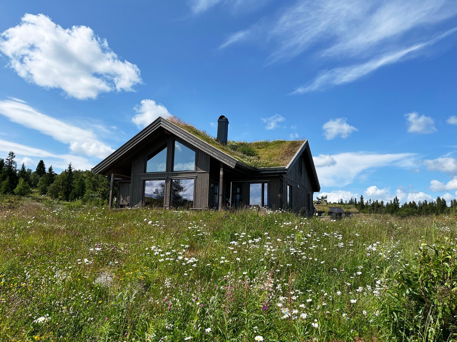 Velkommen til hyggelig visning! Galleribilde
