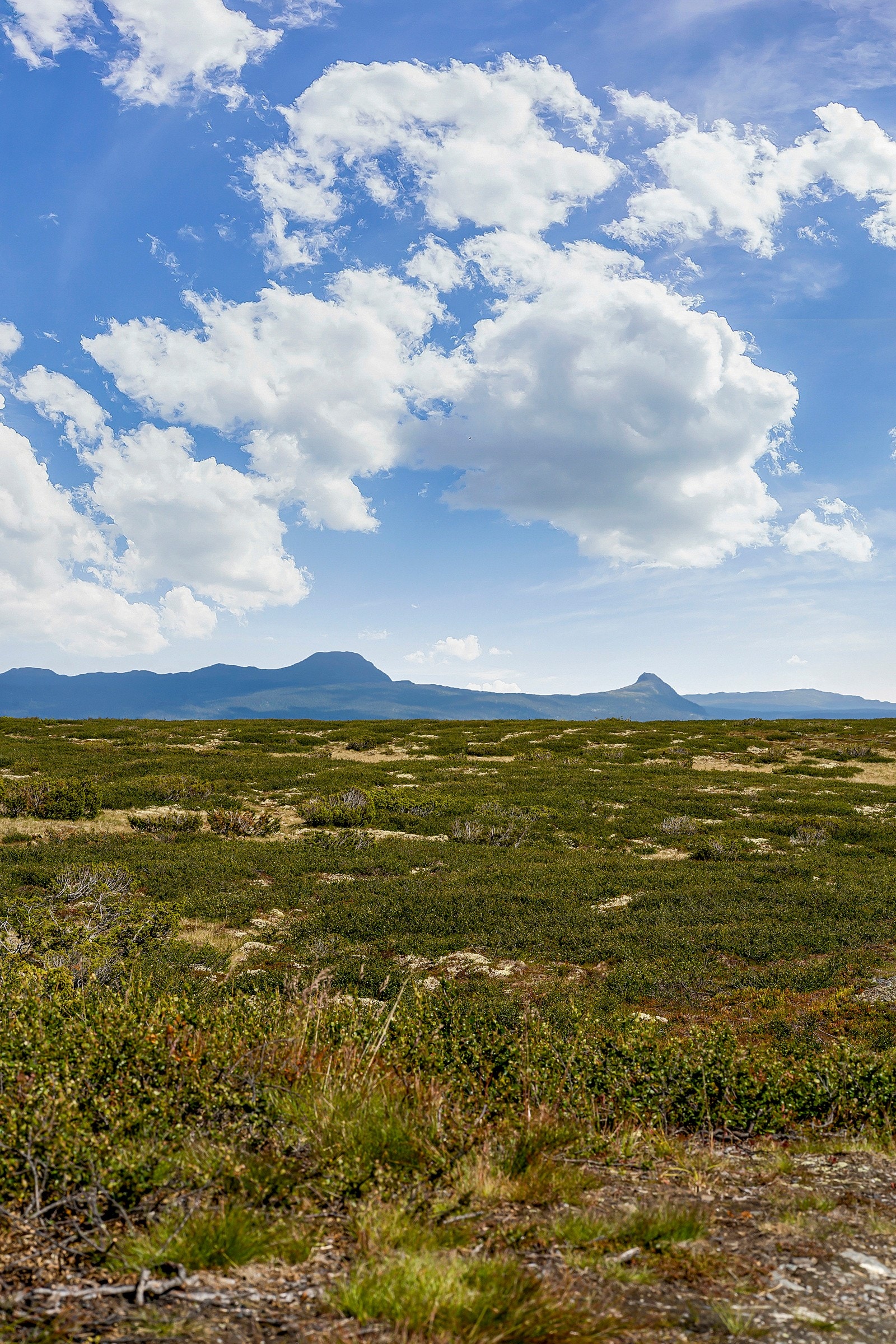 Utsikt fra Sonjavarden Galleribilde