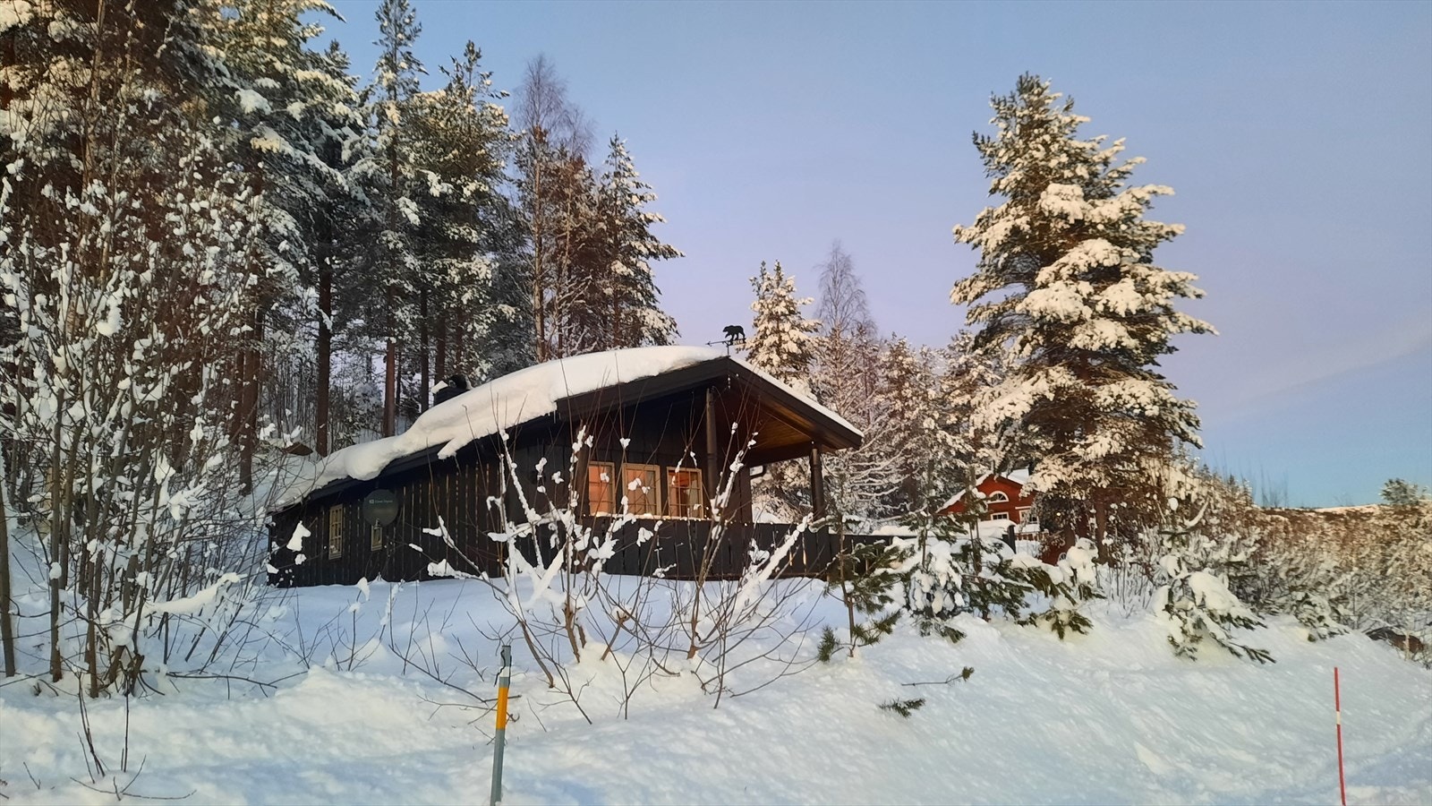 Selgers egne bilder Galleribilde