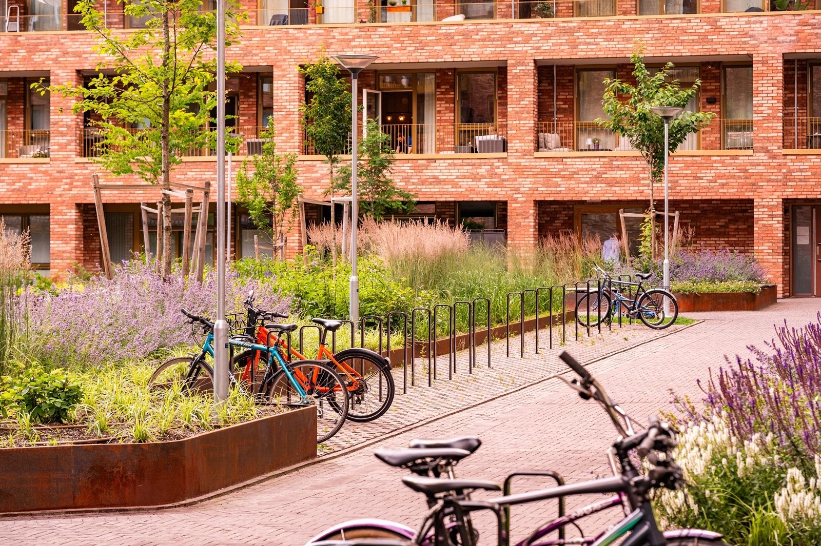 Fellesområdene byr på sykkelparkering, gangstier, lekeapparater og ellers flott beplantning. Galleribilde