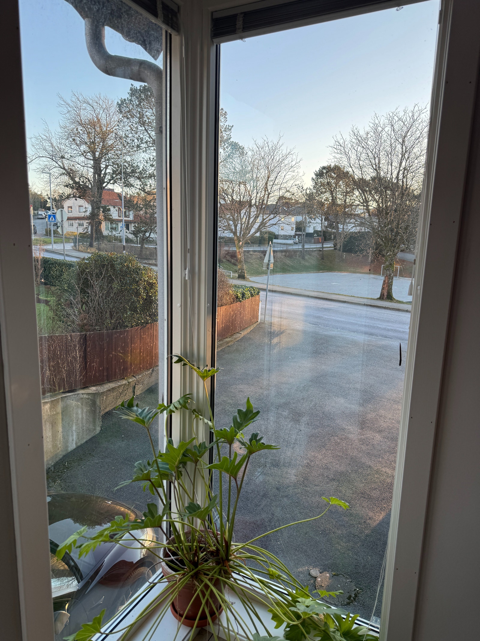 Utsikt fra spisestuen Galleribilde