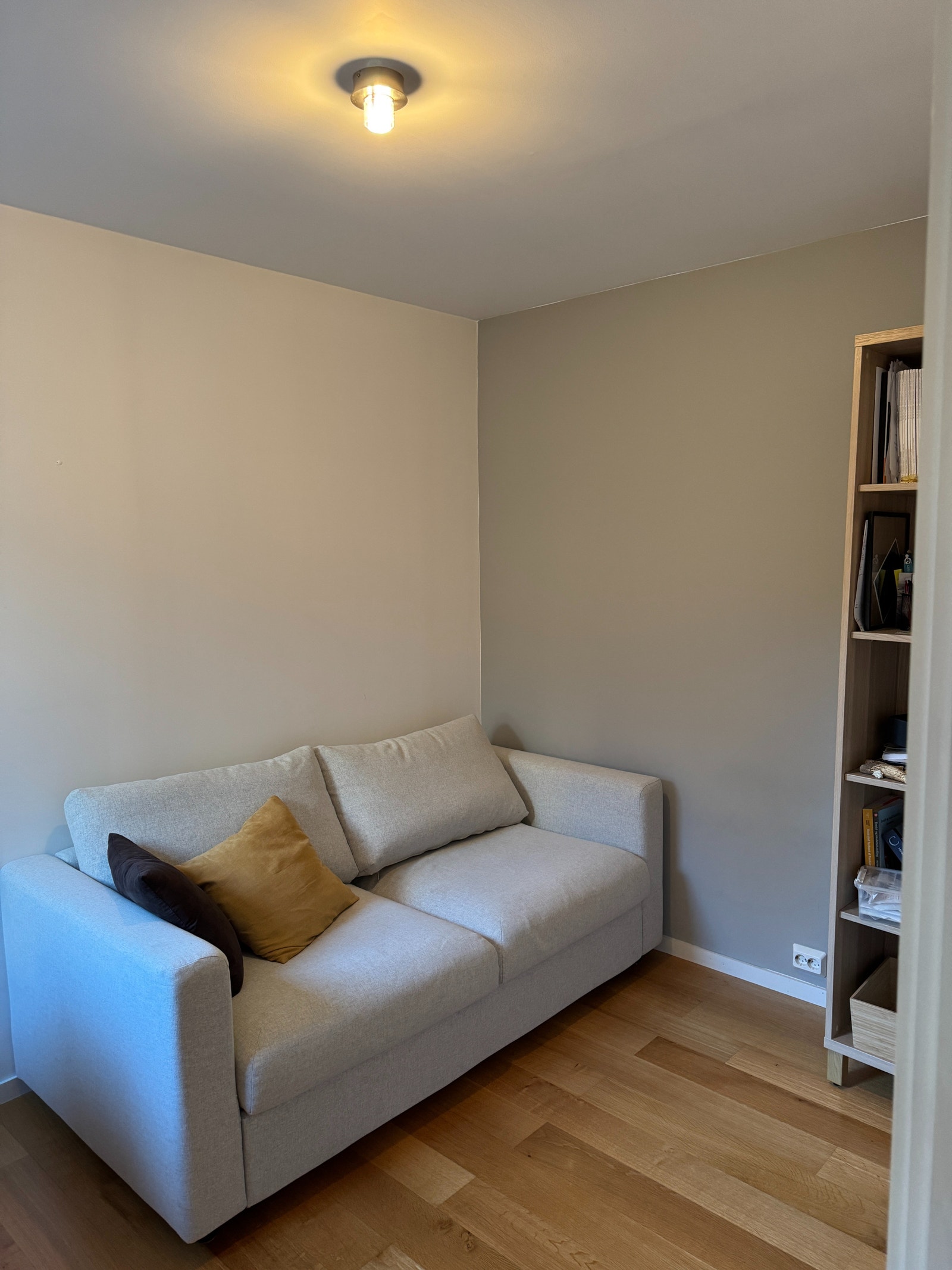 Gjesterom med sovesofa Galleribilde