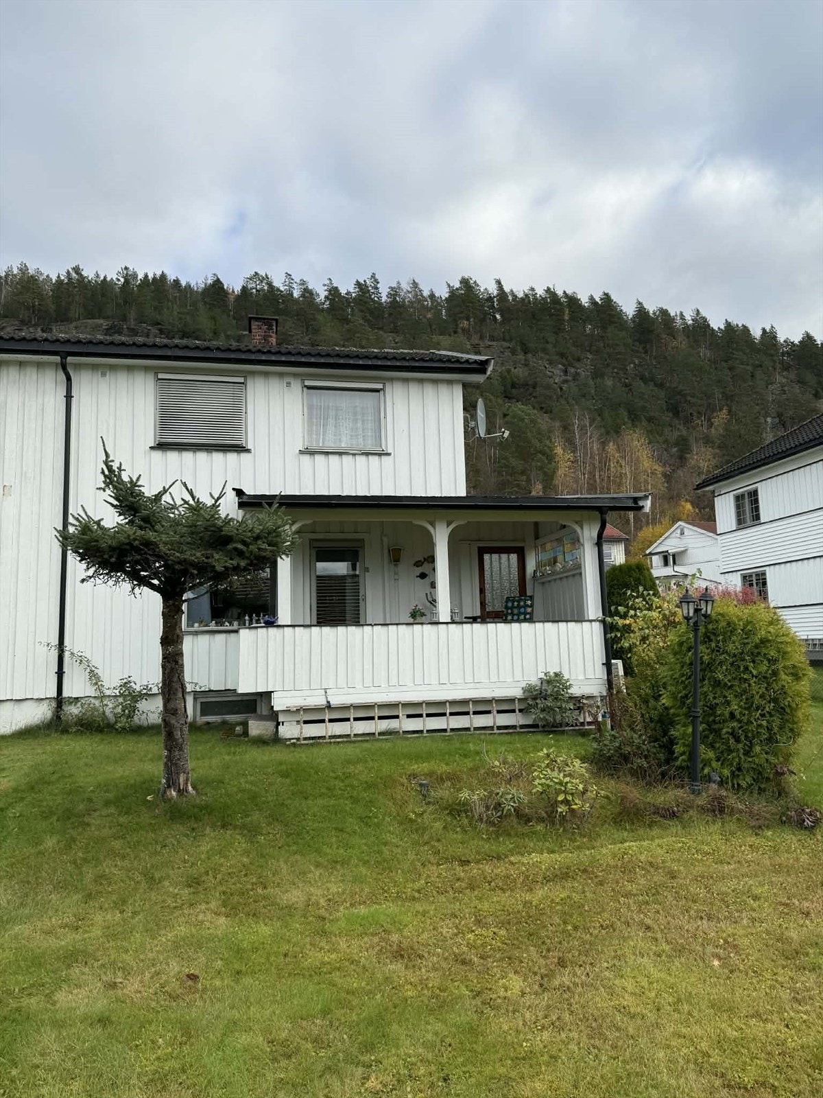 1000007005.jpg Galleribilde