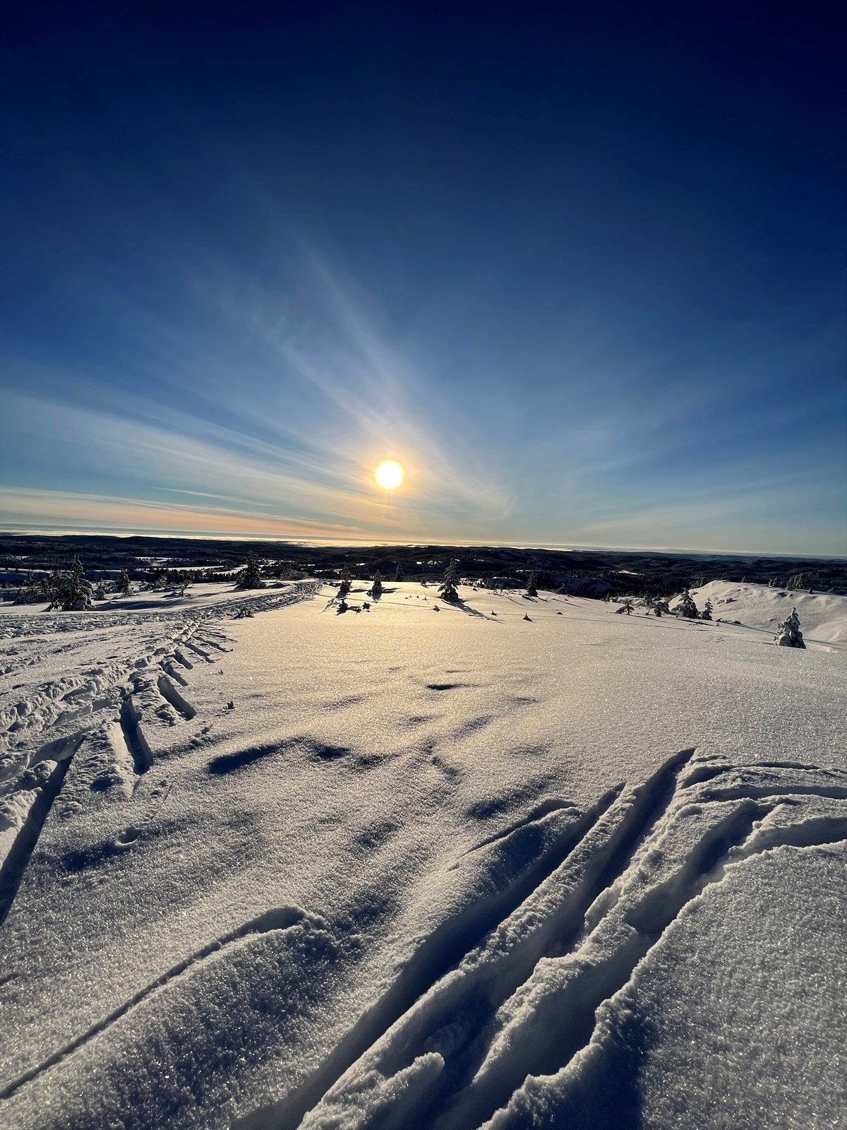 Stemningsbilde fra området ved Høgås. Galleribilde