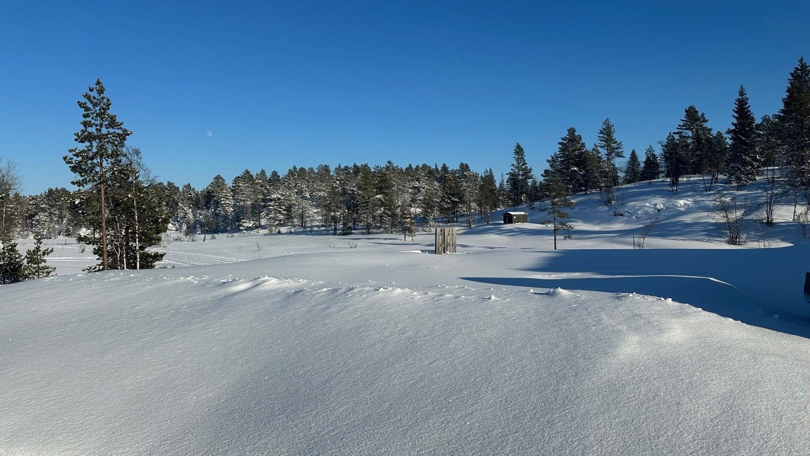 Bildet viser Slettemyr 23A. Galleribilde