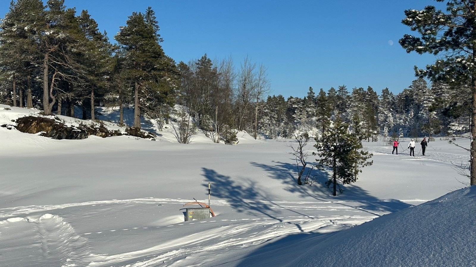 Bildet viser Slettemyr 21. Merk skiløypene som går på høyre side!. Galleribilde