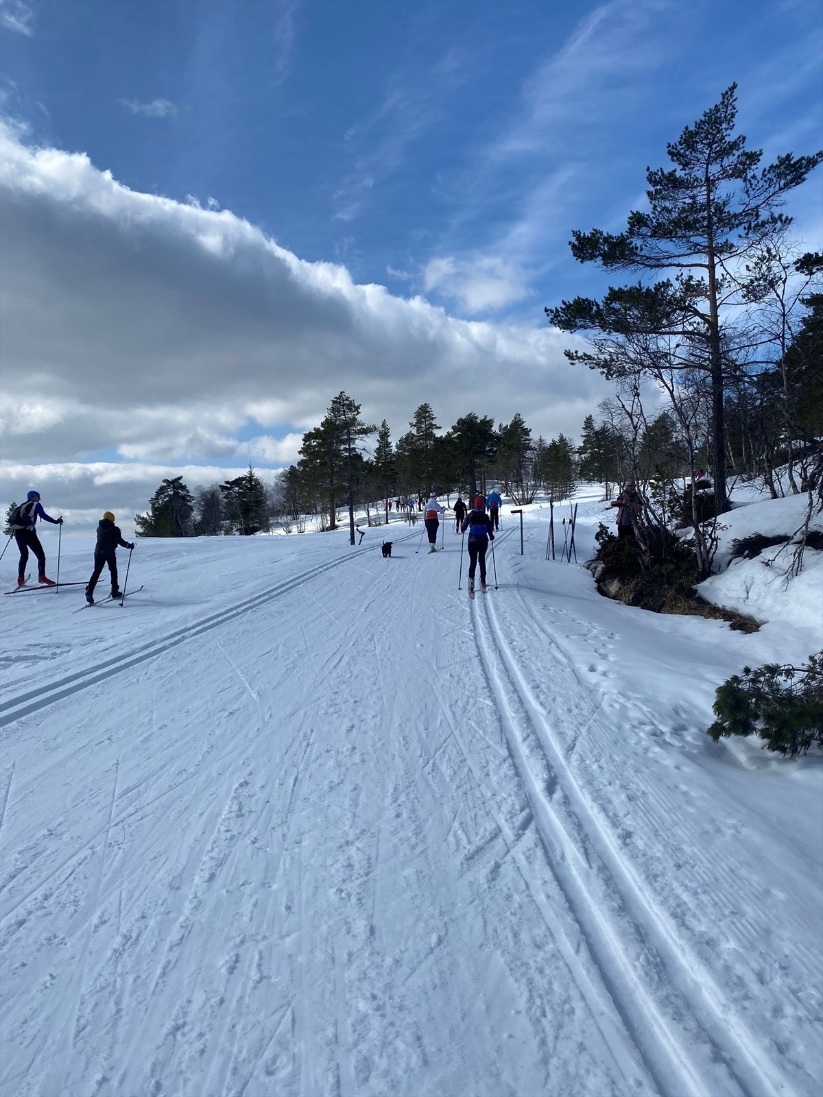 Stemningsbilde fra området ved Høgås. Galleribilde