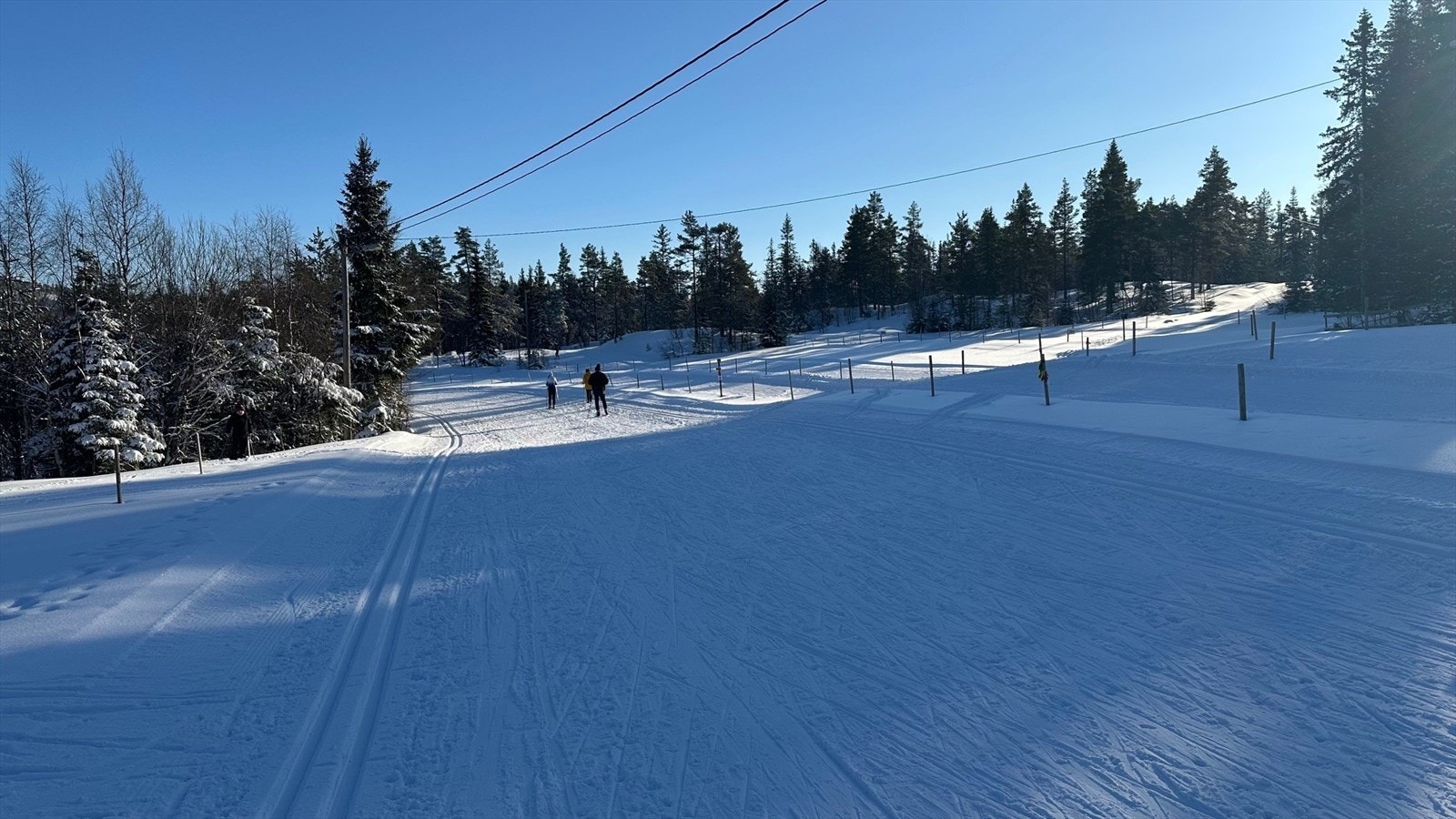 Skiløypene ved Høgås Skiarena! Her er det løyper for alt fra de minste til den mer erfarne skiløper eller treningsentusiast!. Galleribilde