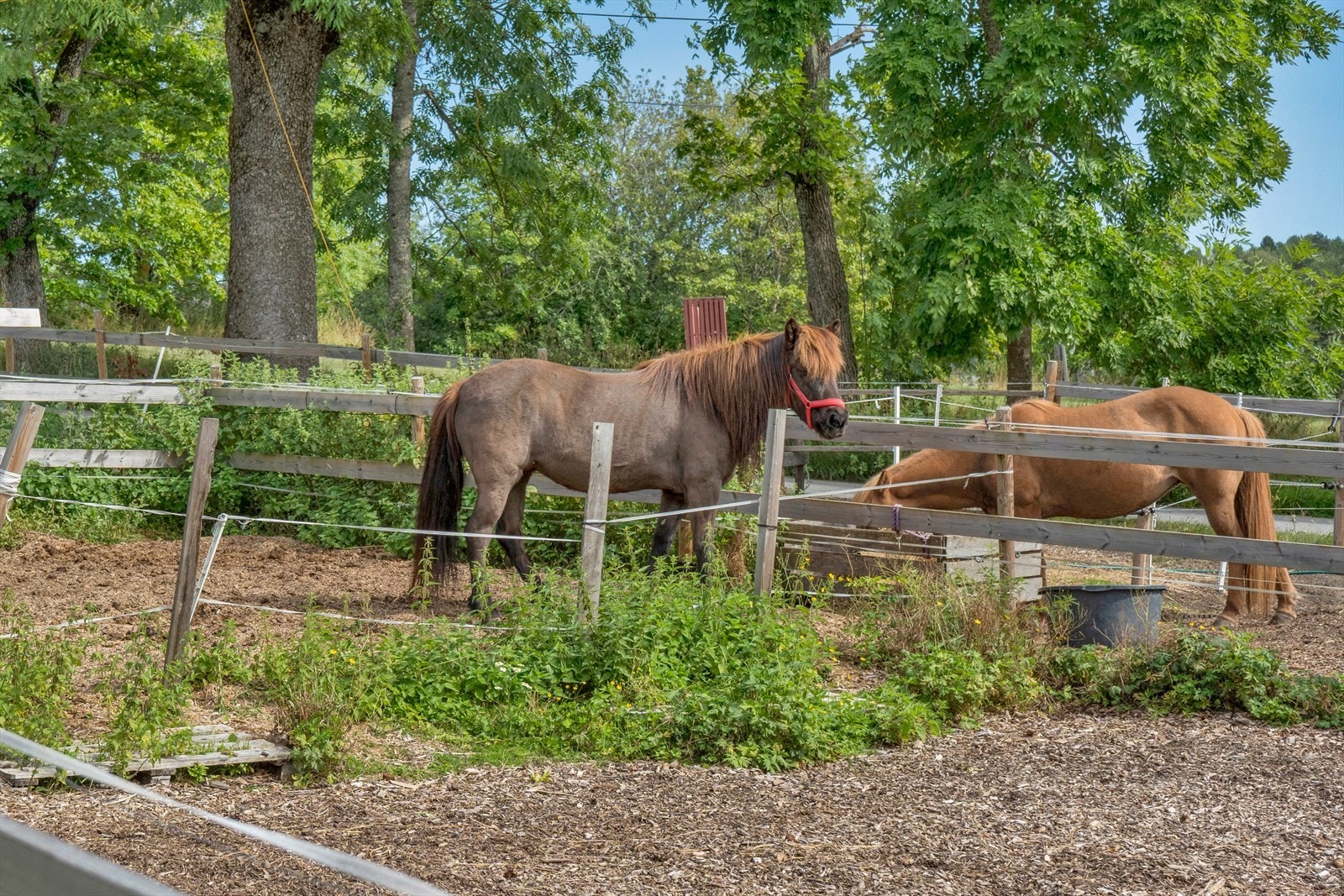 Tveten Gård Galleribilde
