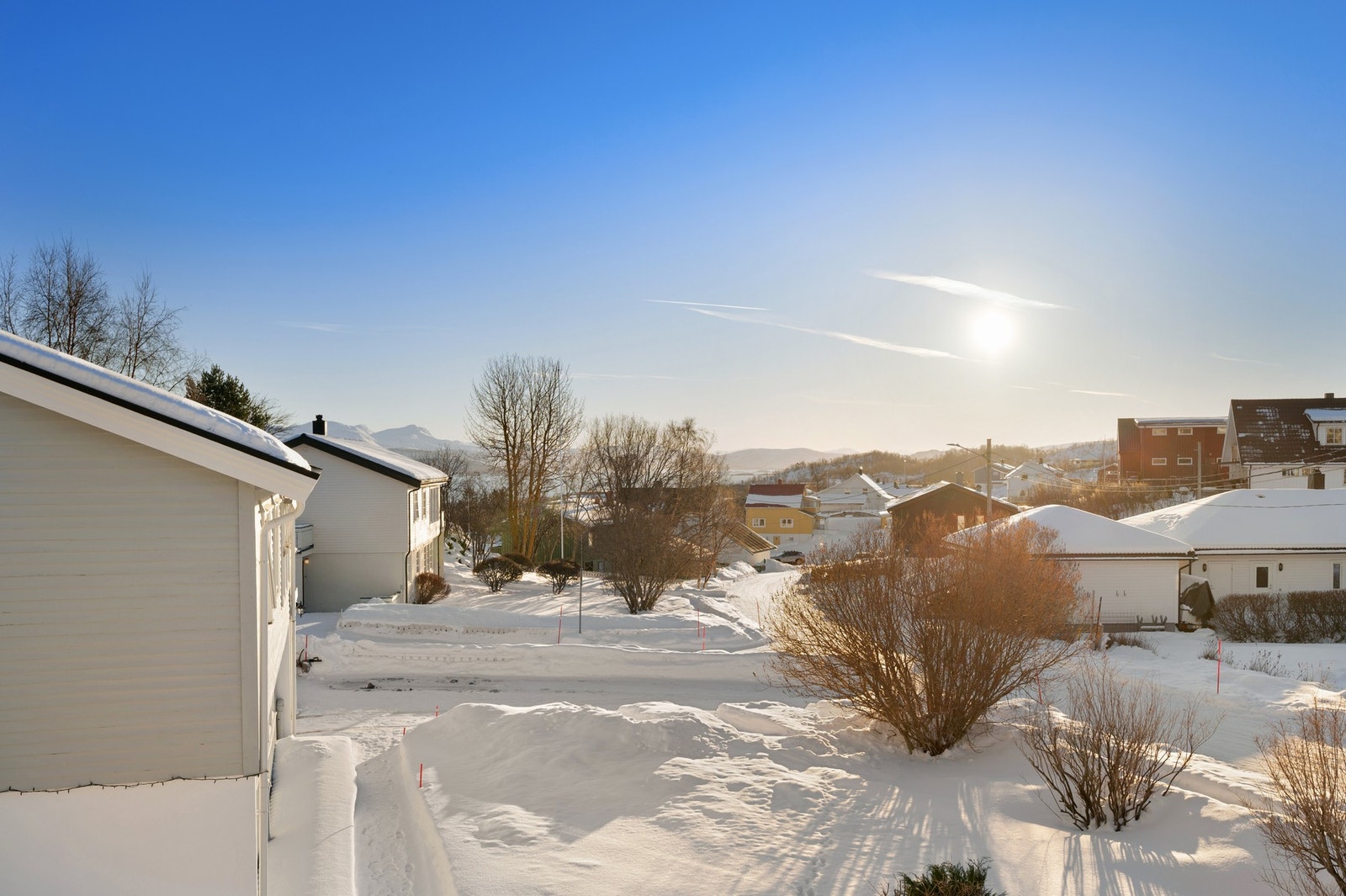 Opparbeidet plen med enkel beplantning på sommerstid Galleribilde