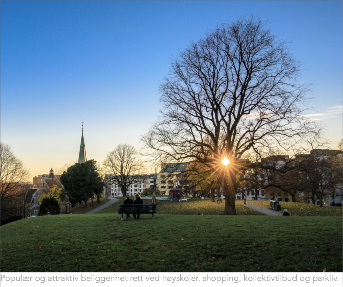 utsikt mot Stensparken Galleribilde