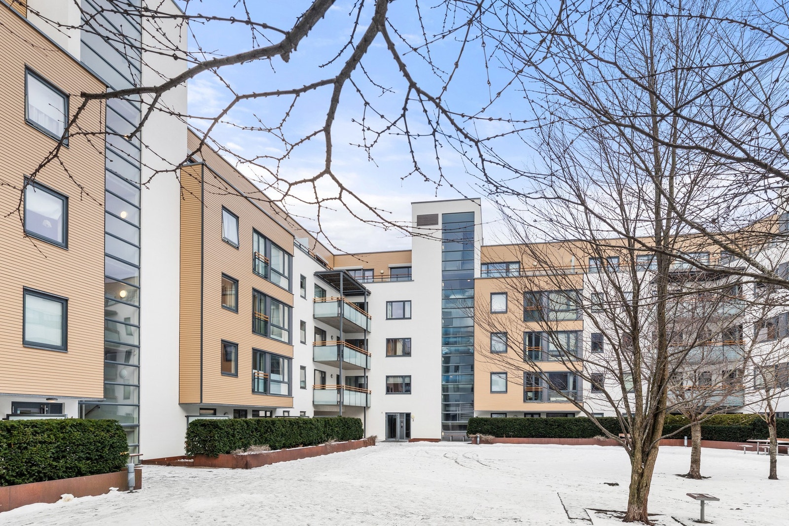 Inngangspartiet til bygget befinner seg i et hyggelig gårdsrom bestående av gressplen med internveier, sittemuligheter, beplantning og vakre kirsebærtrær Galleribilde