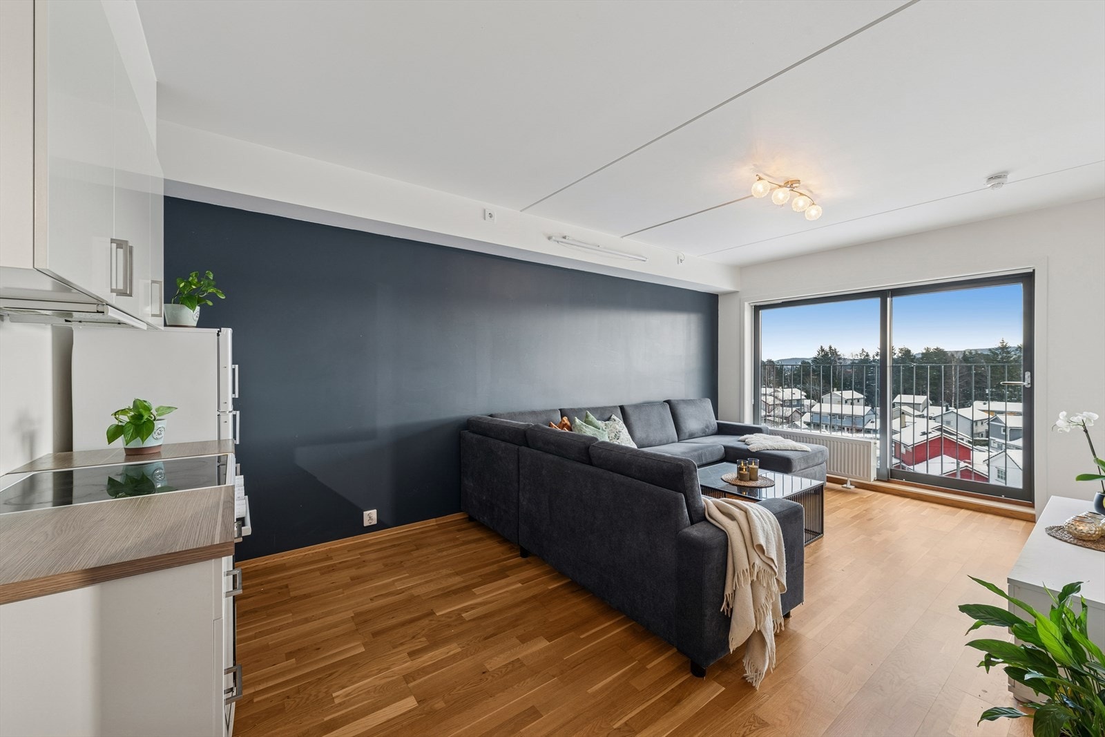 Store vindusflater slipper inn rikelig med naturlig lys. Her er det også fransk balkong. Galleribilde