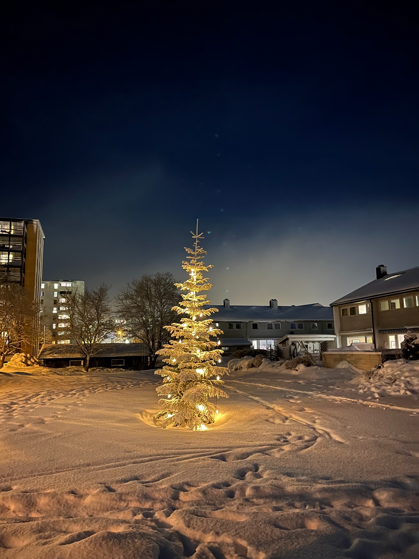 - Hyggelig julehilsen også | Områdets velforening arrangerer koselige tilstelninger for nabolaget, blant annet julefest med julegrantenning - Galleribilde