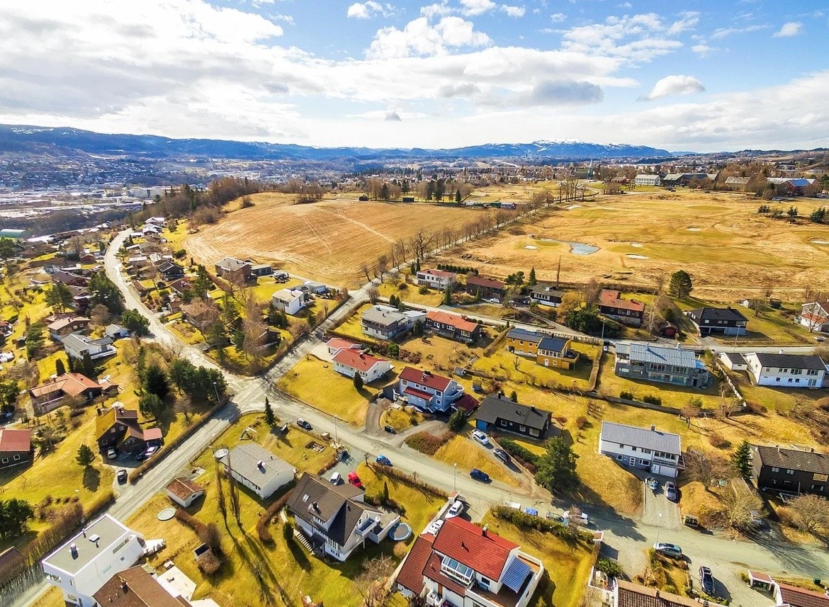 Nærområdet. Galleribilde