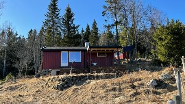 Hytte med store vindusflater i stua. Galleribilde