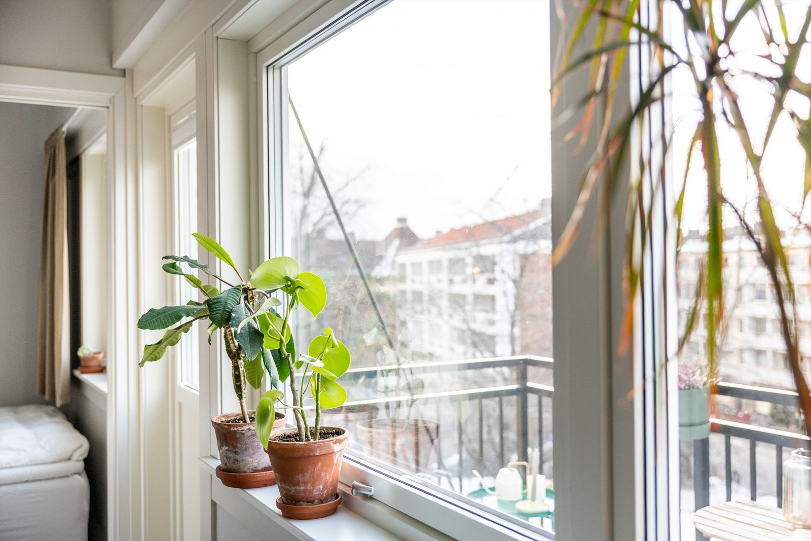 Store vindusflater, som sørger for godt med naturlig lys. Galleribilde