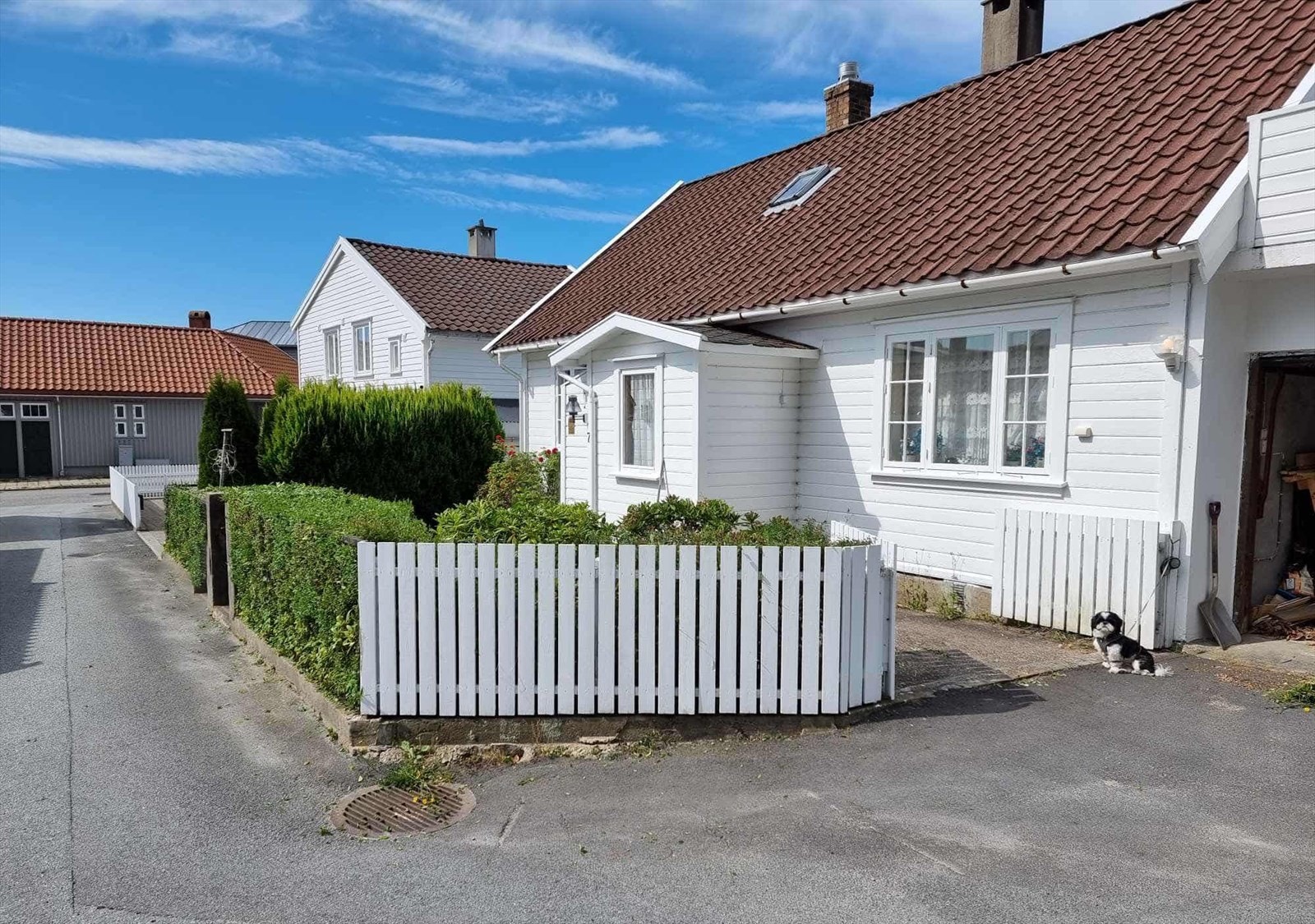 Grønt og frodig uteområde på sommerstid (privat bilde) Galleribilde