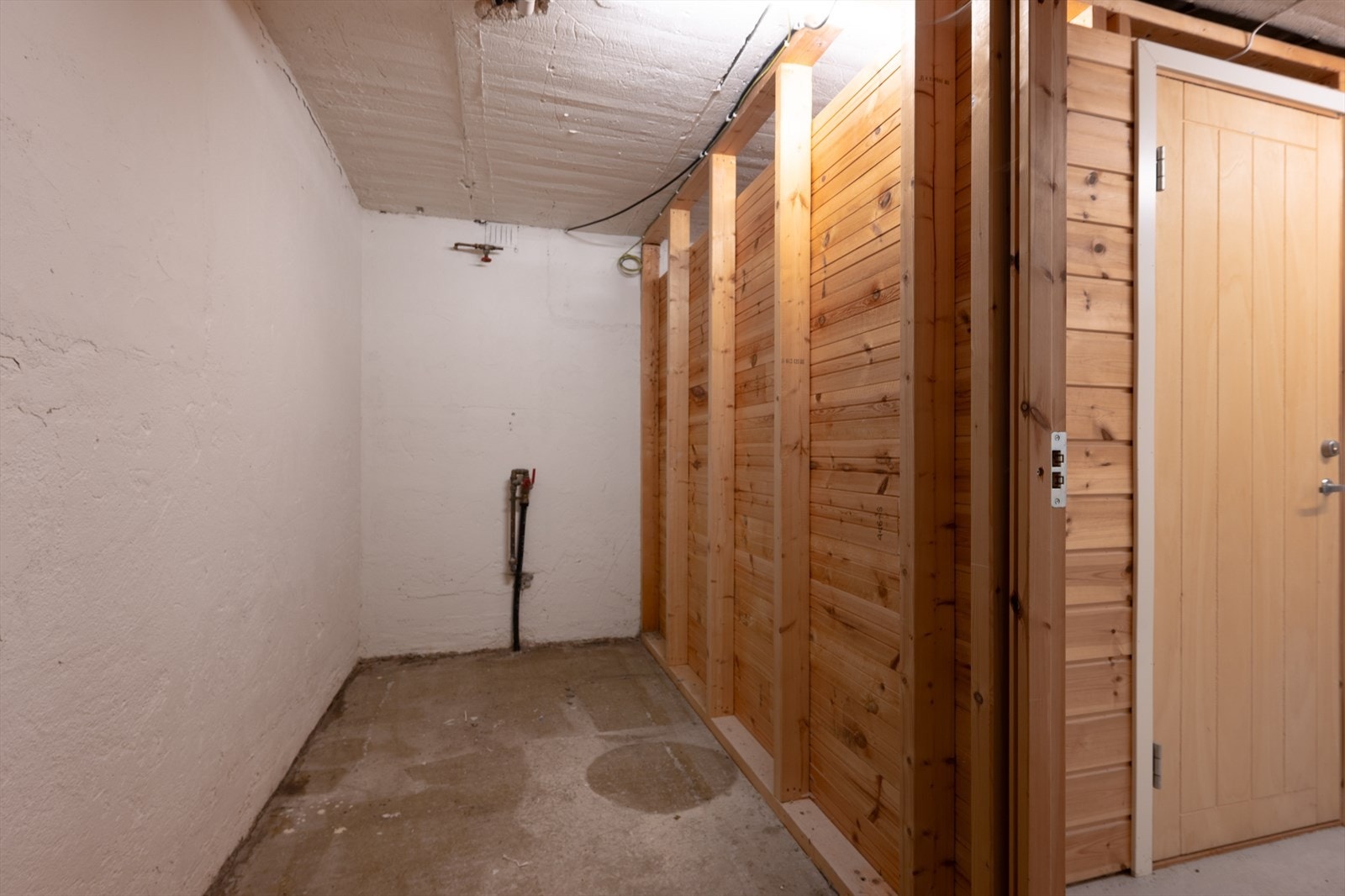 Privat sportsbod på omtrent 5 kvm i kjeller Galleribilde