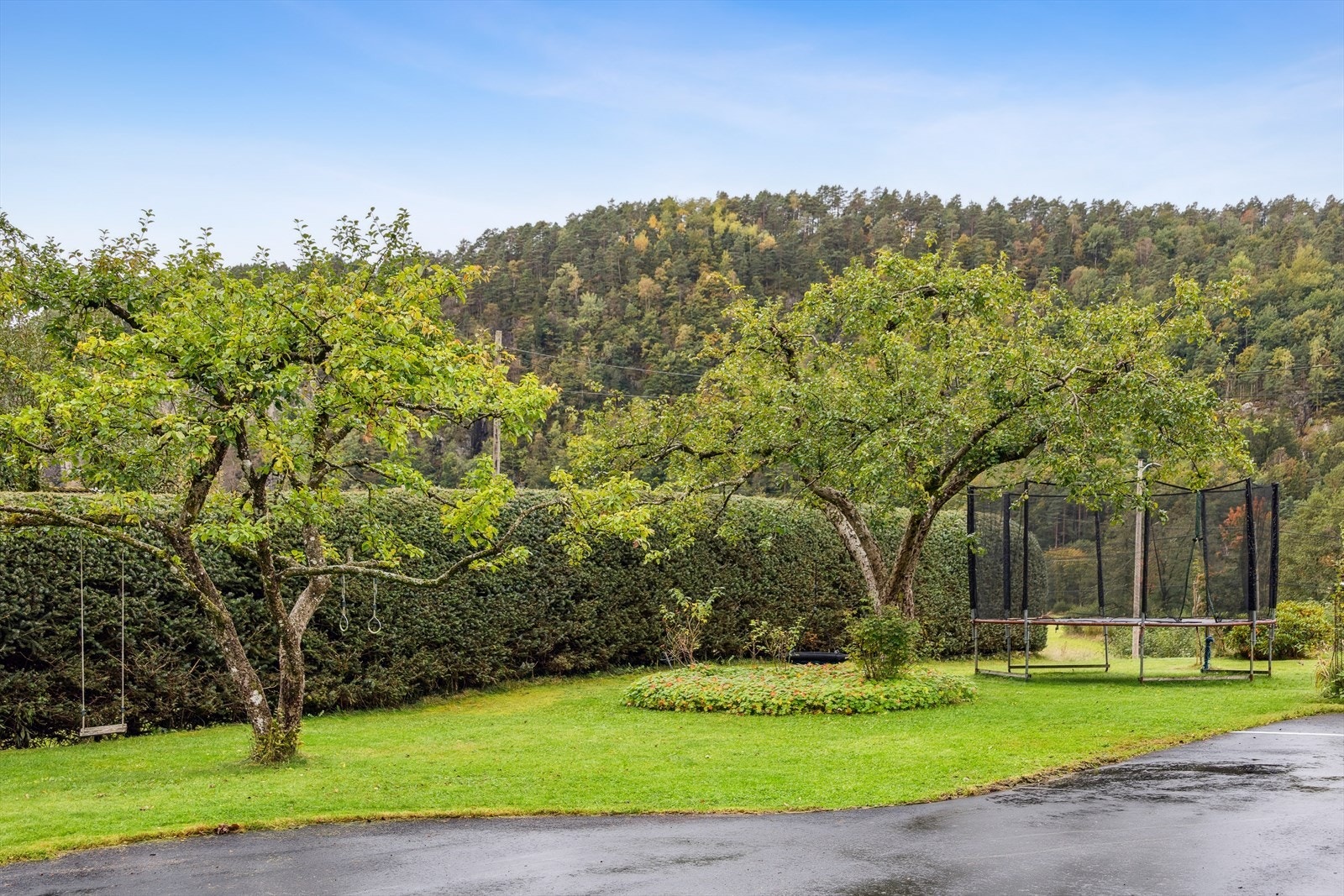 Uteområde med frukttrær Galleribilde