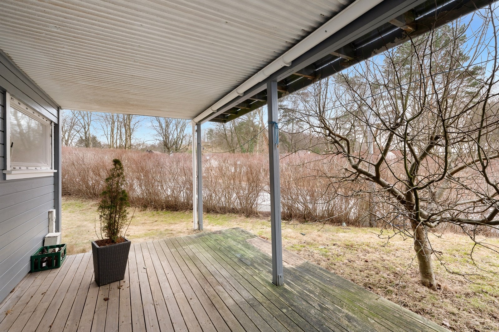 Terrasse. Galleribilde
