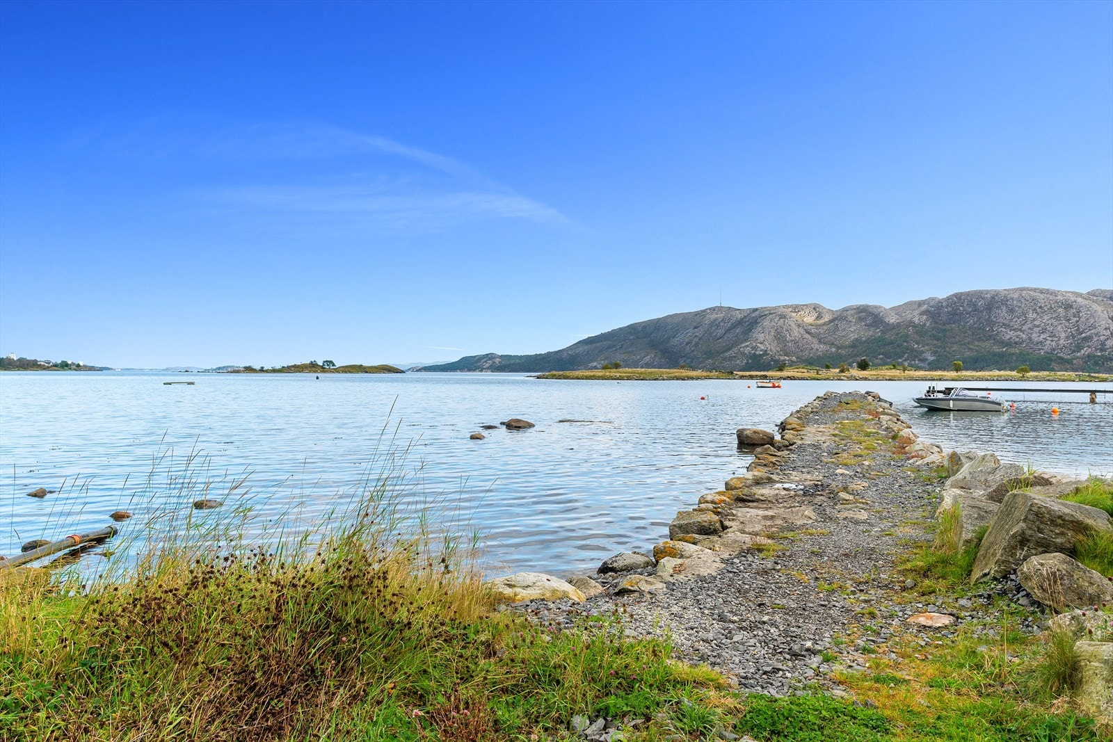 Nærområde. Galleribilde