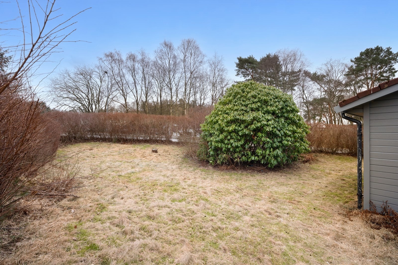 Uteområde. Galleribilde