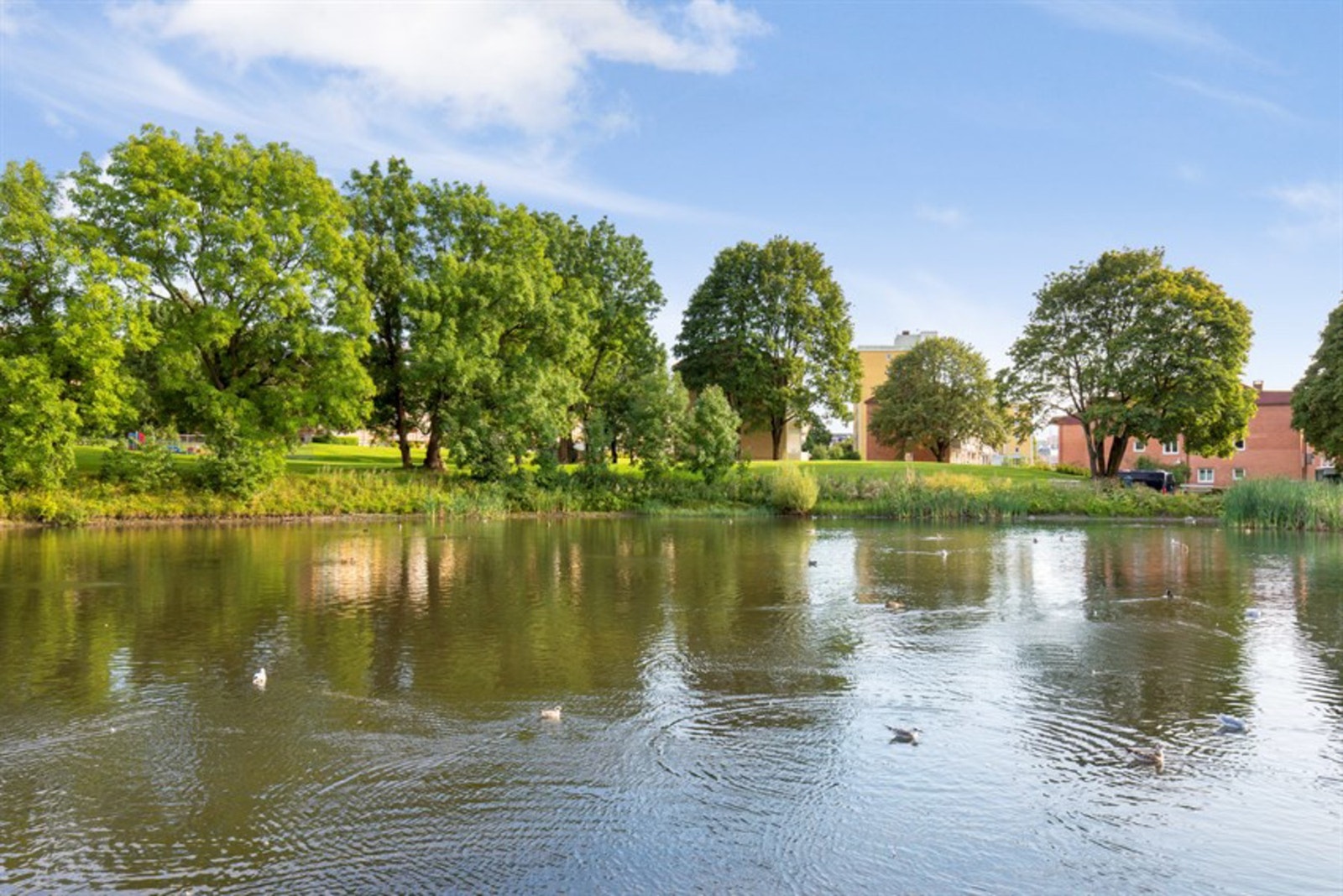 Hovindammen med sine store grøntområder passer utmerket for tur og rekreasjon. Galleribilde