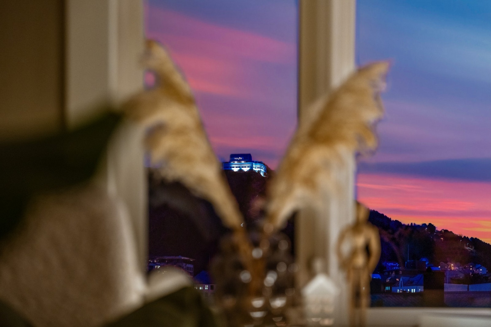 Utsiktsbilde. Galleribilde