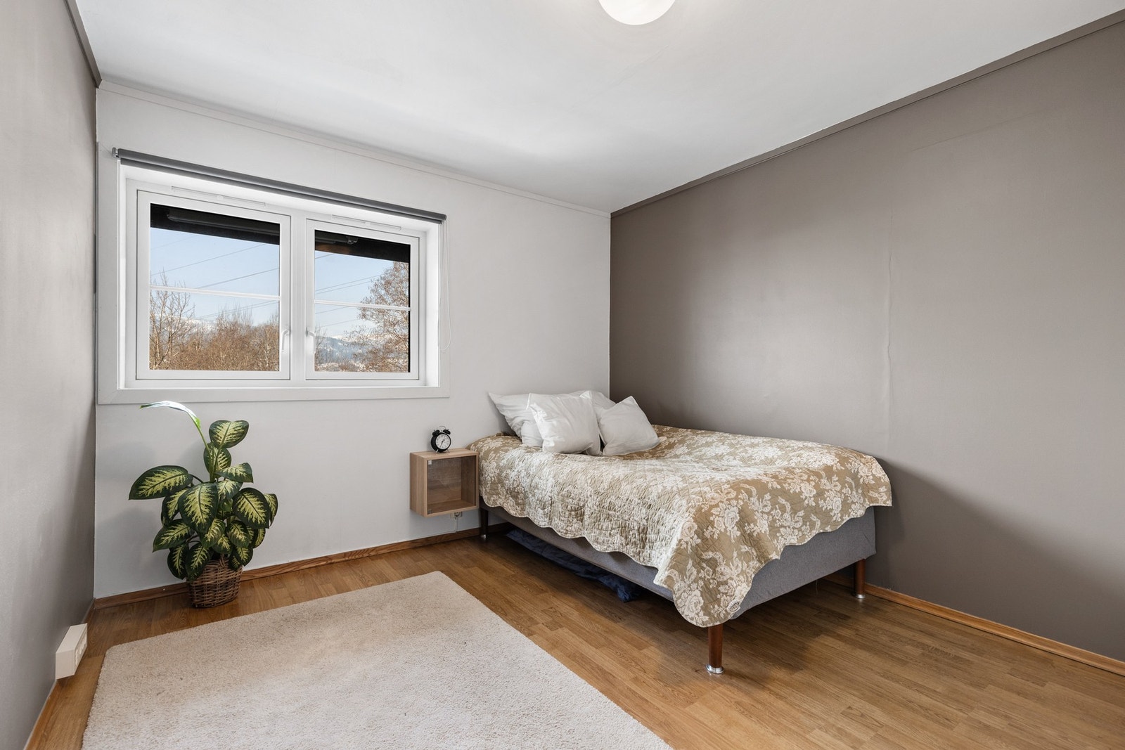 Leiligheten har to soverom som ligger vegg i vegg, og begge med laminatgulv og malte gipsvegger Galleribilde