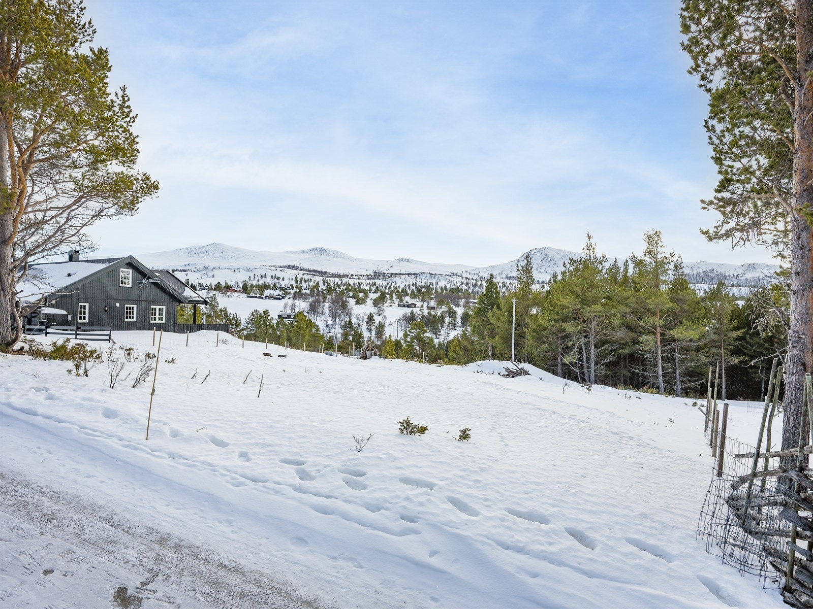 Her kommer man tett på storslagen og vakker natur. Galleribilde